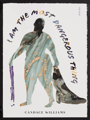 cover image of I Am the Most Dangerous Thing